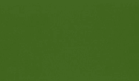 RAL 6025 - fern green (зеленый папоротник)