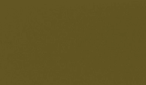 RAL 8000 - green brown ( зелено-коричневый )