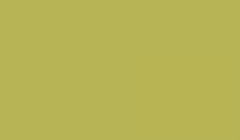 RAL 1000 - green beige (зелено бежевый)