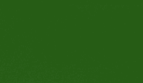 RAL 6010 - grass green (зеленая трава)