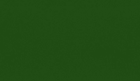 RAL 6002 - leaf green (зеленый лист)