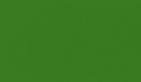 RAL 6017 - may green (зеленый май)