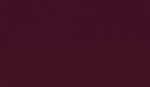 RAL 4004 - claret violet (бордово-фиолетовый)