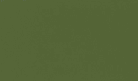 RAL 6013 - reed green (зеленый тростник)