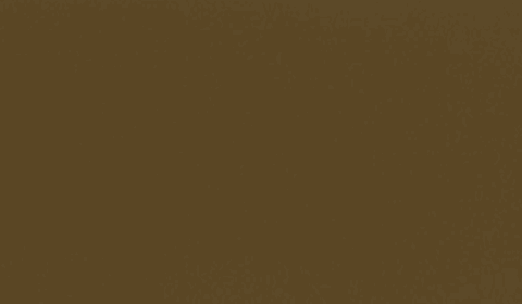 RAL 8025 - pale brown ( бледно-коричневый )