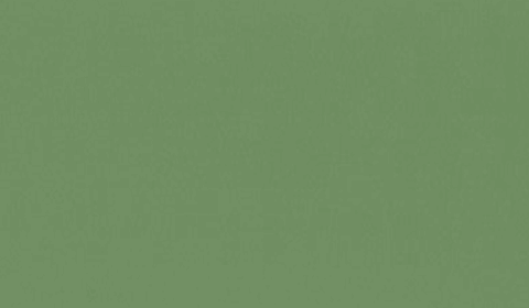 RAL 6021 - pale green (бледно-зеленый)
