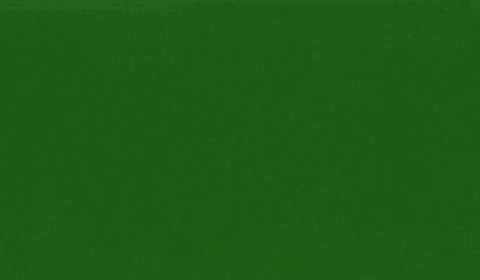 RAL 6001 - emerald green (изумрудно-зеленый)