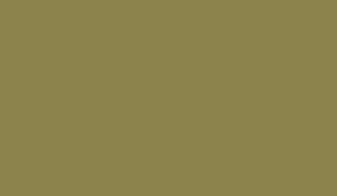 RAL 1019 - grey beige (серо-бежевый)